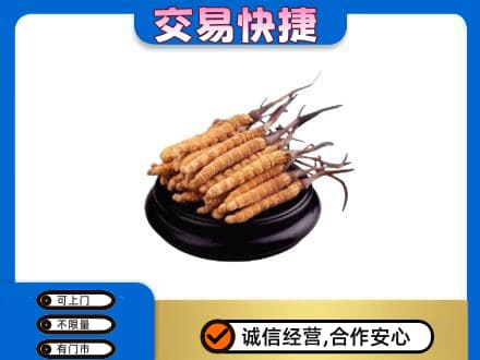 上海回收冬虫夏草多少钱每克